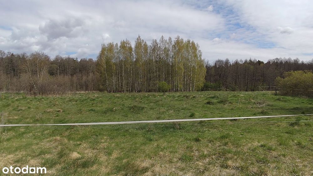 Działka na Mazurach