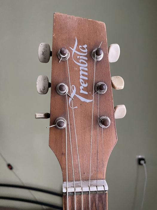 Гітара Трембіта робоча