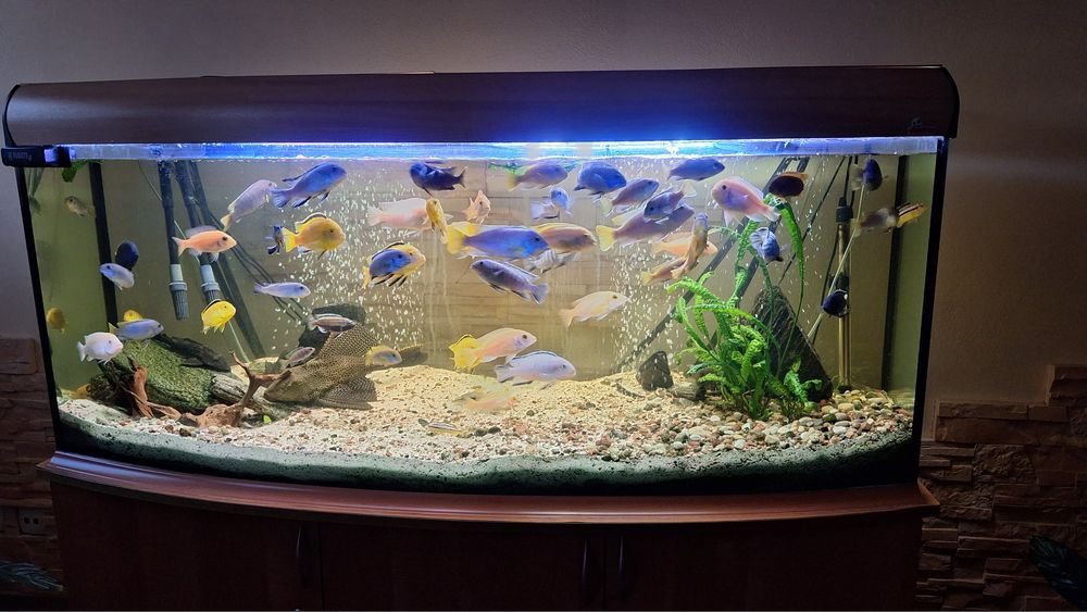 Akwarium 500L Zestaw