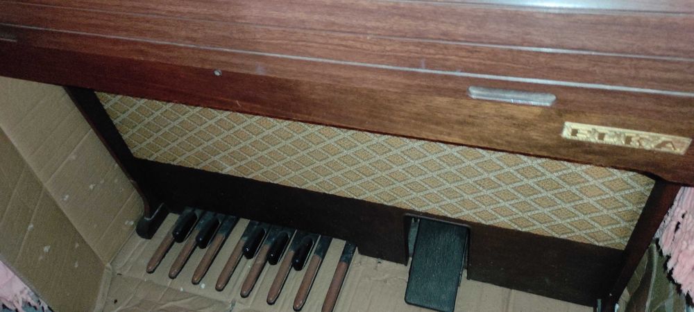 Órgão Elka 20 raro/antiquíssimo
