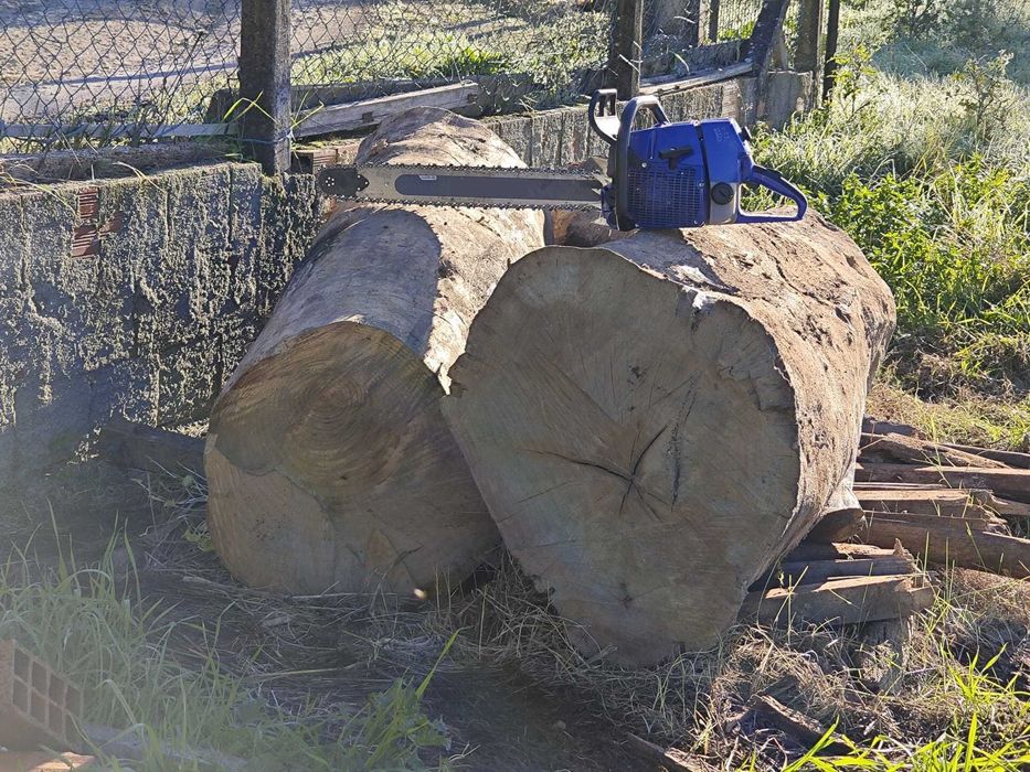 Abate de Árvores de Grande Porte