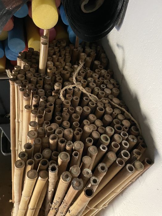 Bambu 100cm x 2 cm