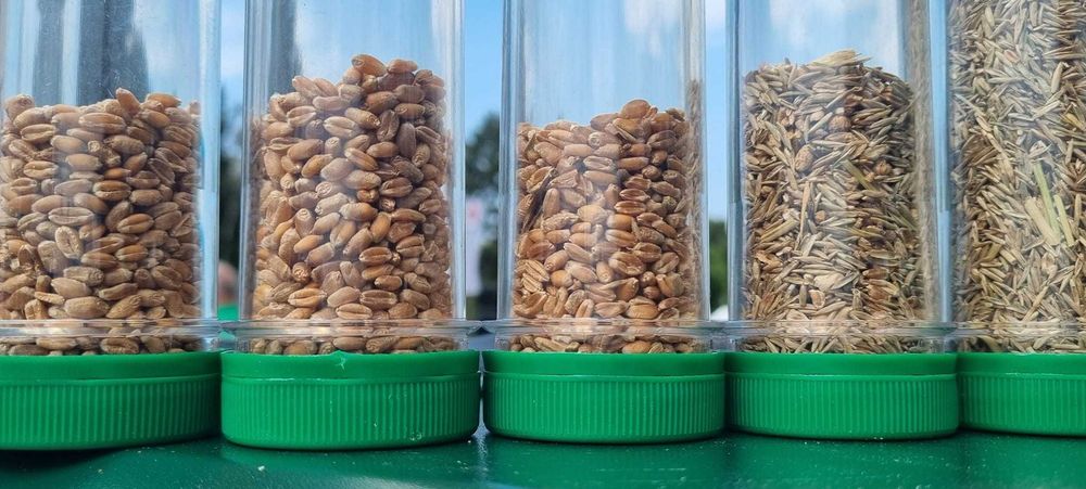 Separator aerodynamiczny, wialnia, czyszczalnia