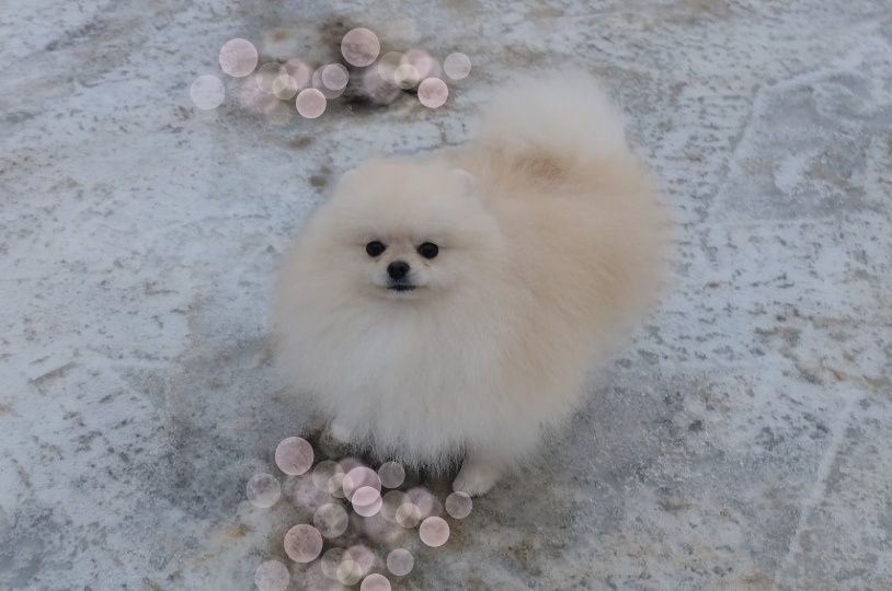 Хлопчик без недоліків