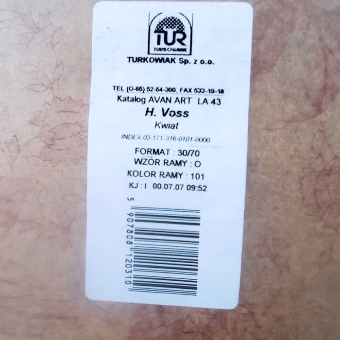 Obraz reprodukcja Kwiat H. Voss