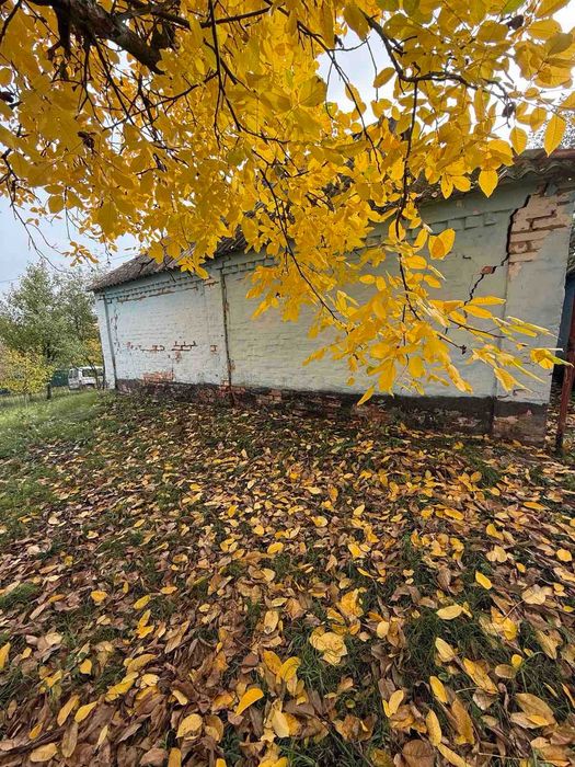 ПРОДАЖ! Будинок з ділянкою, центр с. Сем'янівка