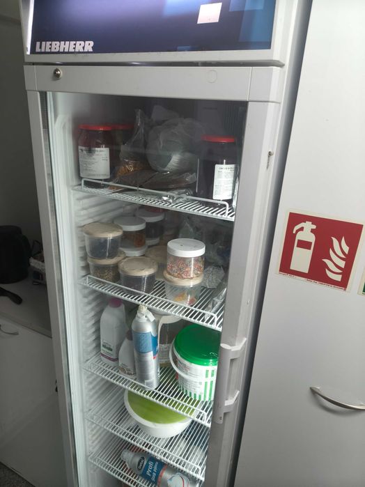 Przyczepa Gastronomiczna