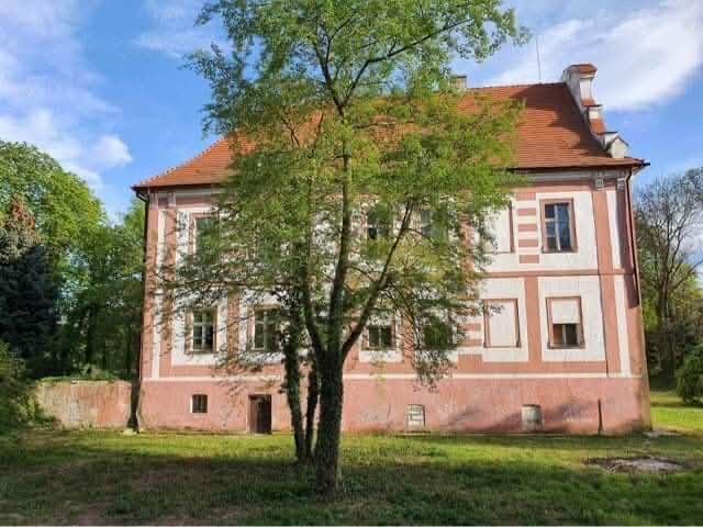 Pałac w Snowidzy na sprzedaż