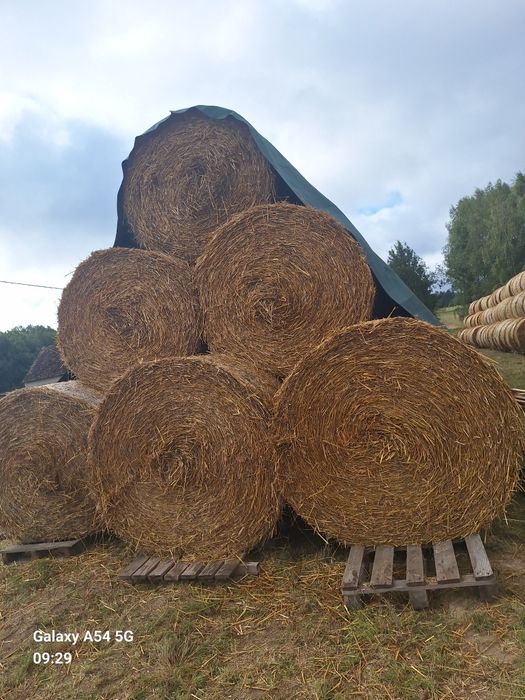 Słoma 145×120 owsiana i żytnia 2025
