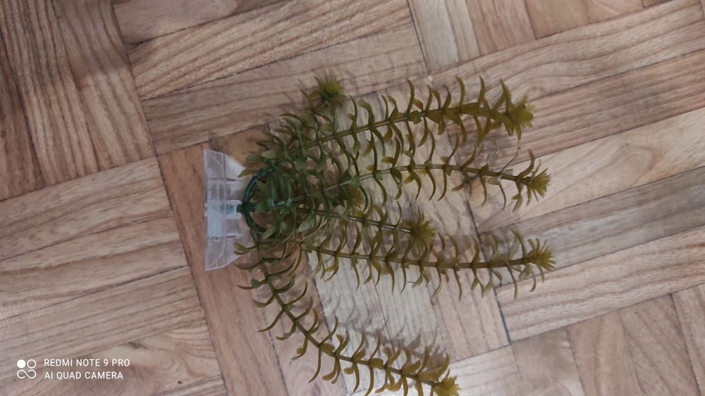 Plantas de Plástico para Aquário