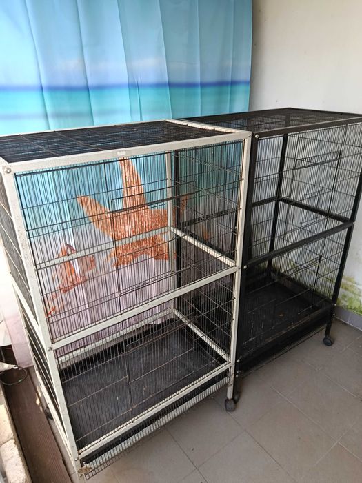 Entrego a quem vier buscar, pelo preço negociável