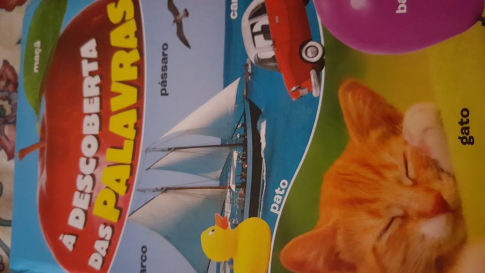 Livros didáticos infanto-juvenis