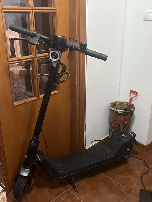 Kqi3 Sport de bk niu