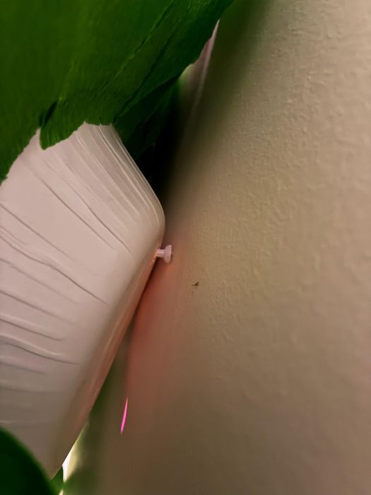 Kwiat XXL dzień babci i dziadka,3D z  bibuły, na urodziny imieni