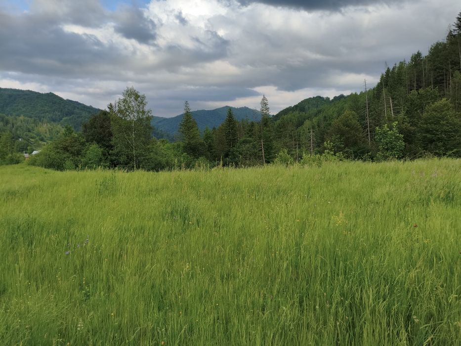 Земельна ділянка