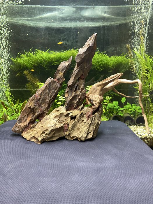 Аквариумная композиция из камня Dragon Stone и коряг азалии