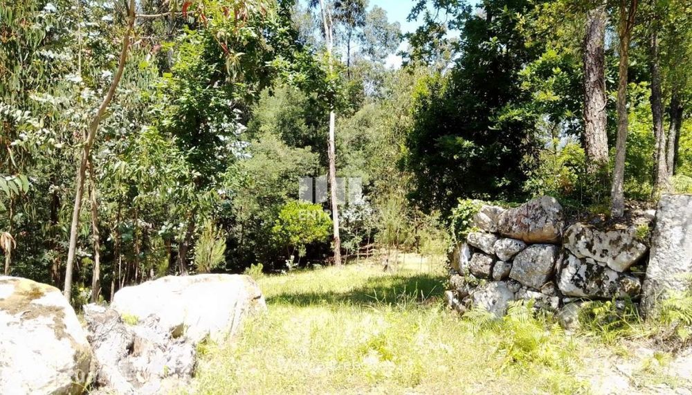 Venda Terreno, Praia Fluvial, Espadanedo, Cinfães