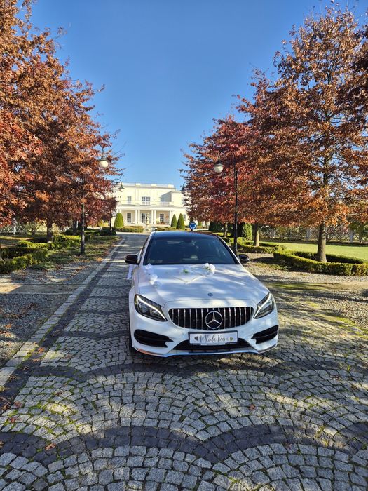 Witam zapraszam auto do ślubu