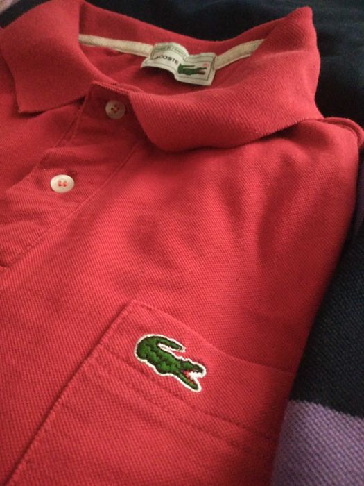 Polos Lacoste, Loding, Springfield e Fred Perry em muito bom estado