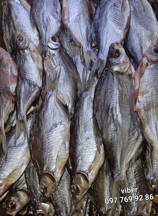 Риба сушена в'ялена тарань густера лящ судак щука плотва вяленая рыба ...