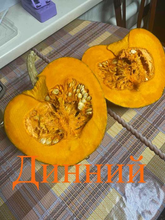 Насіння солодких гарбузів