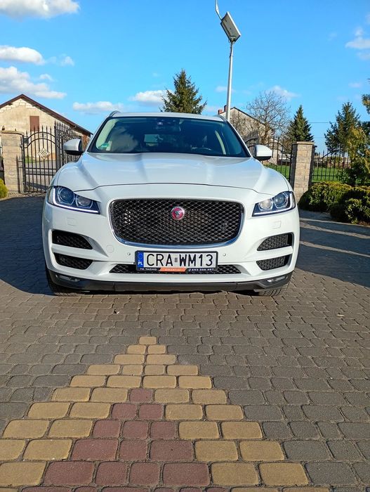 Jaguar F-Pace Jaguar F-pace full opcja