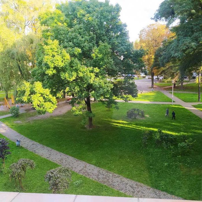 Zdjęcie 8