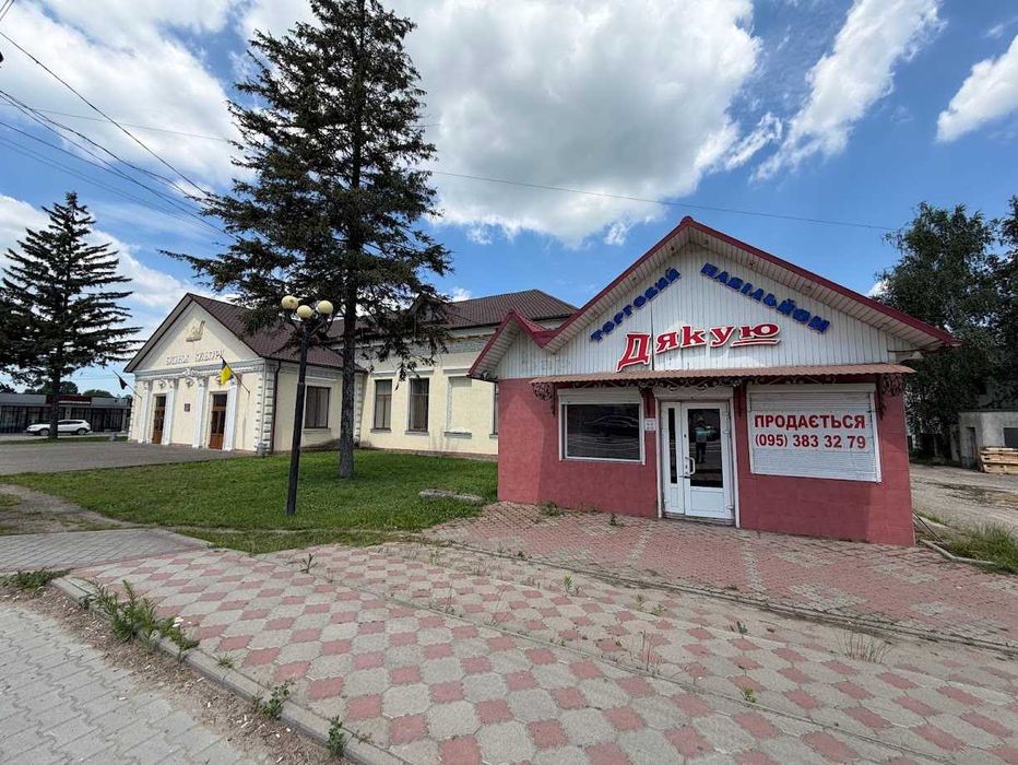 Продається фасадне комерційне приміщення в с. Мамаївці (Центр)