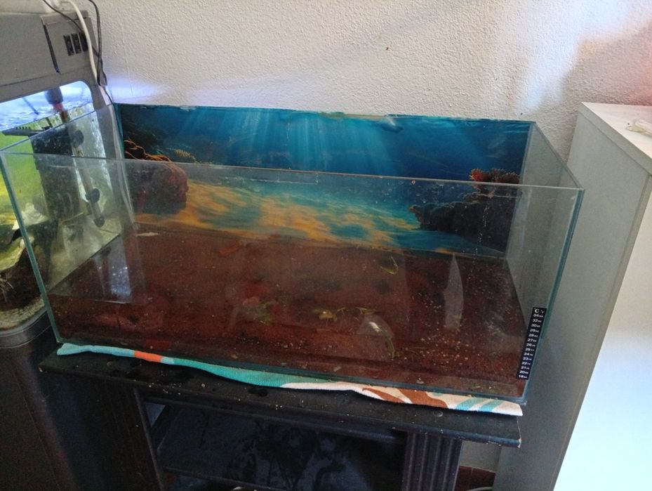 Vendo aquário de 80L
