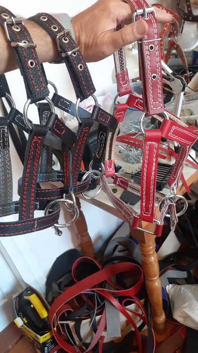 Недоуздок для усмирения теленка  быка джерсейская голштинская абердин