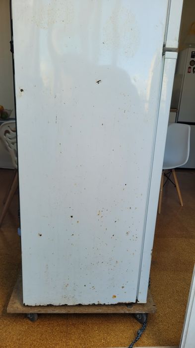 Frigorífico Princess RP263