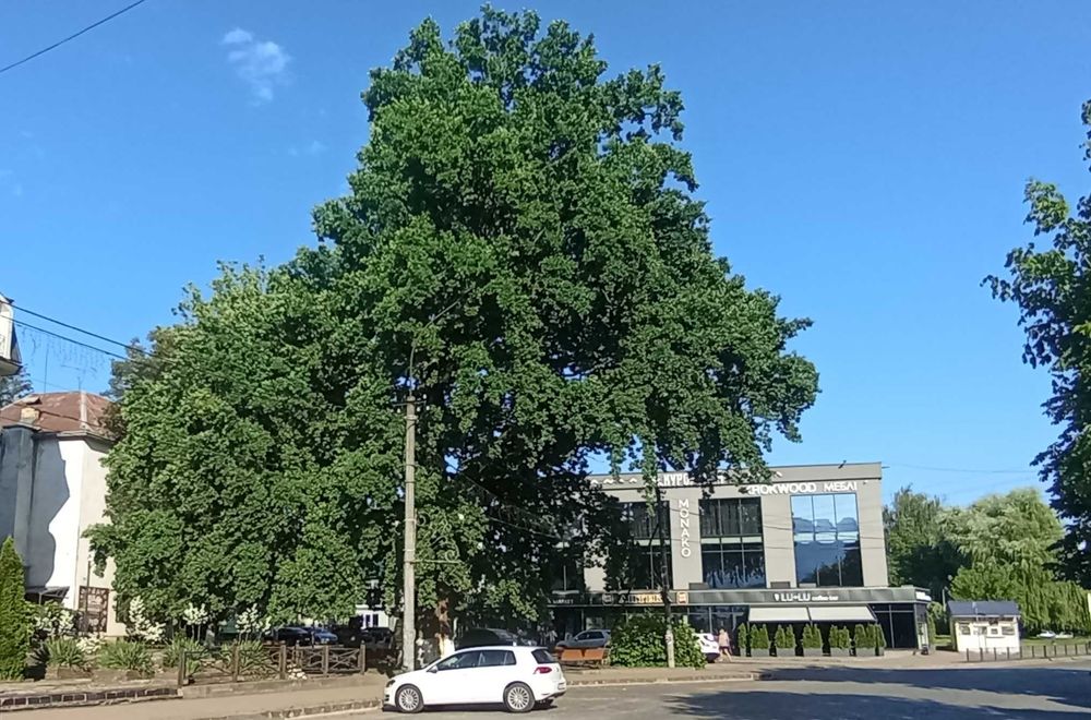 Продаємо чудовий будинок Свалява затишний центр