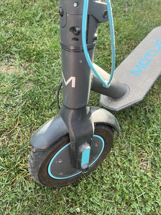 Hulajnoga motus scooty 10 lite