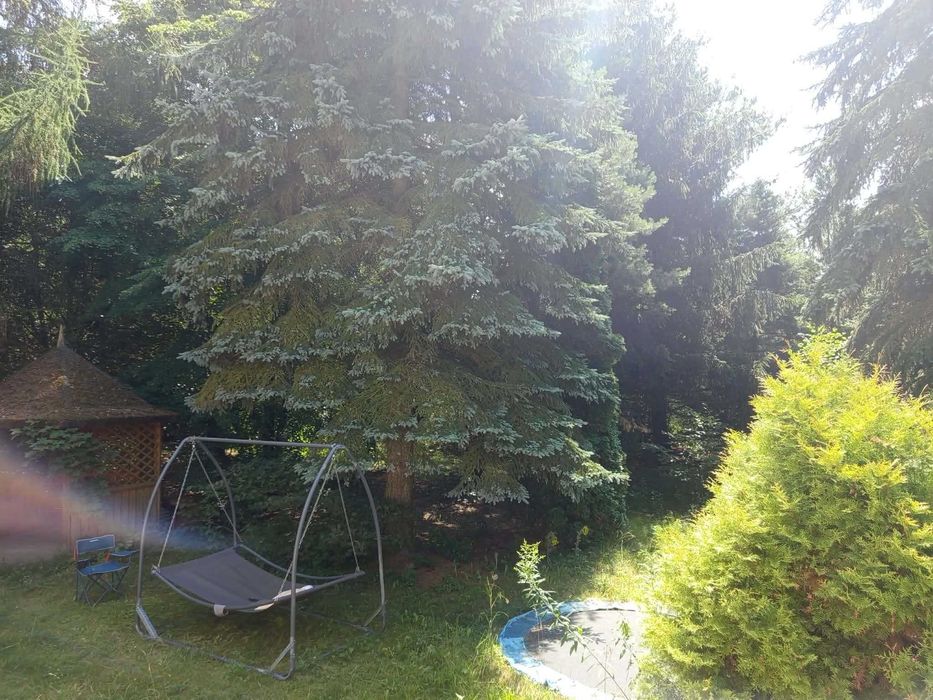 Dom – Rębków, Stary Rębków - Widok 3
