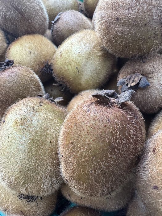 Kiwis 100% natural - 1kg