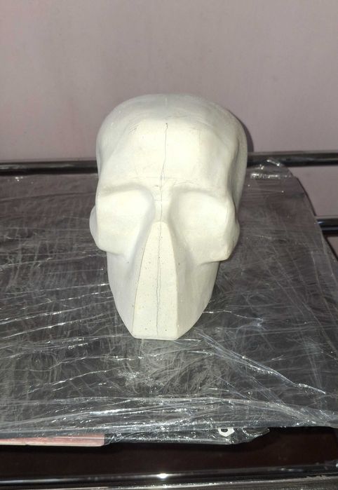 модель гіпсового черепу "обрубовка"