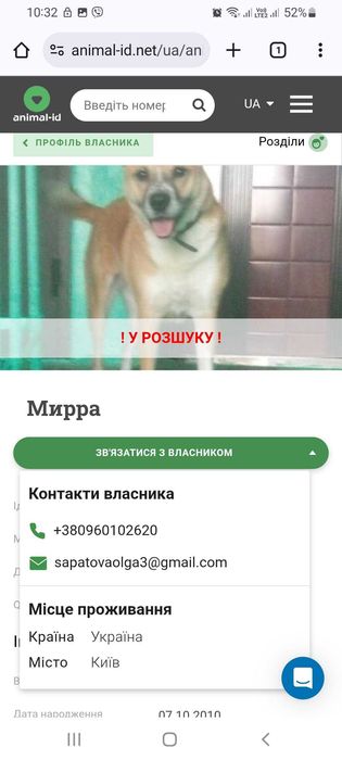 Загубилася собака, 16 років!