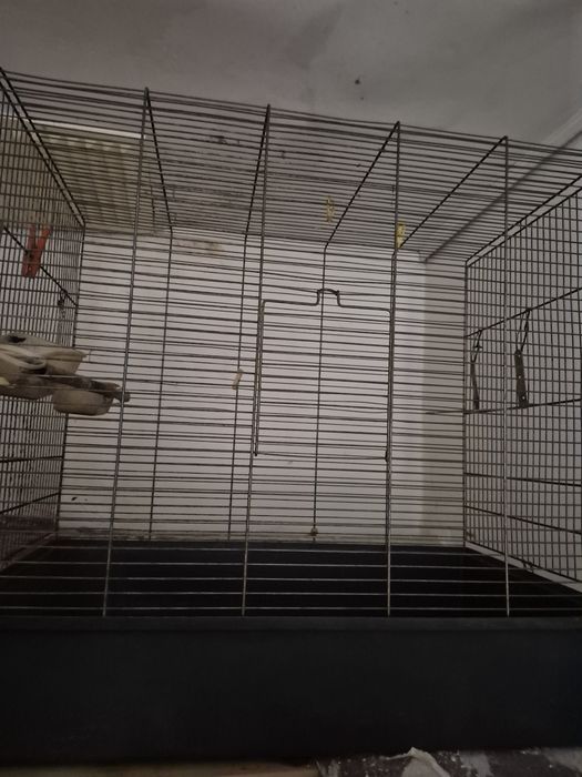 Gaiola de pássaros de grande porte