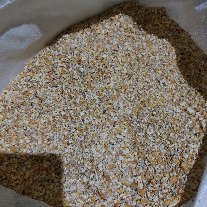 Продам  кукурудзу, мелену кукурудзу та кукурудзяну крупу.  В Луцьку.