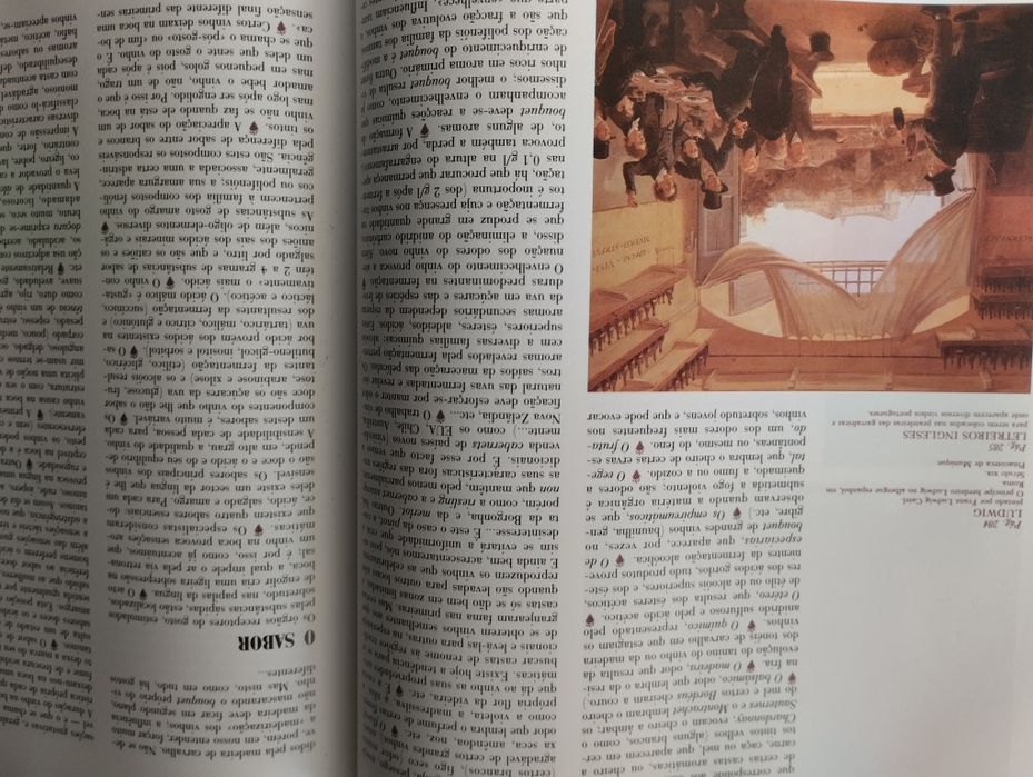 O Grande Livro do VINHO