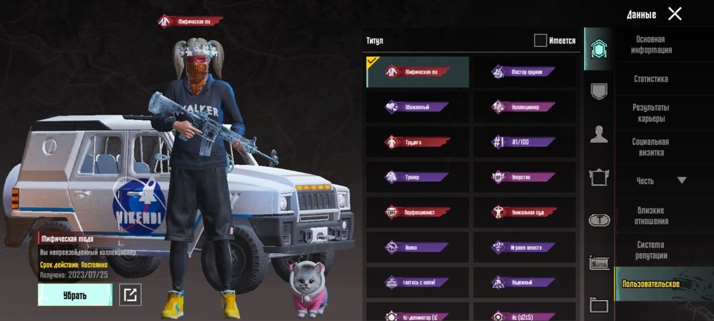 Пабг PUBG жирний акк