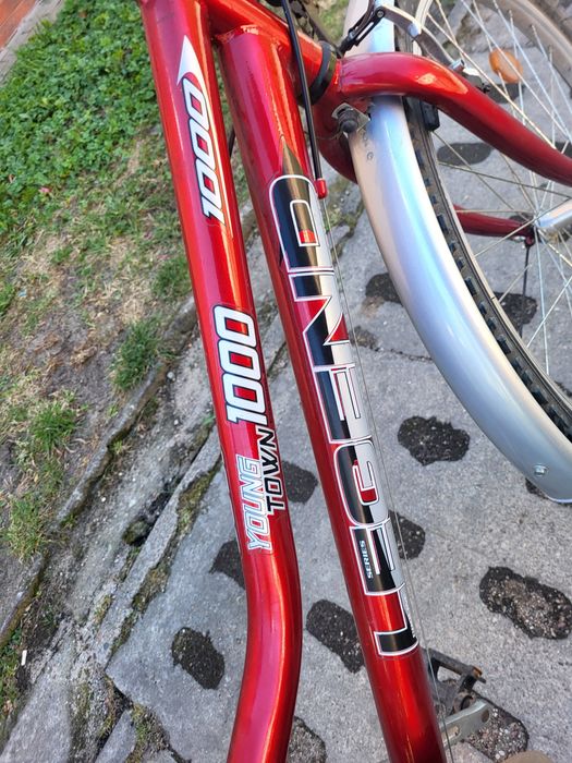 Rower DAMKA  26 cali.