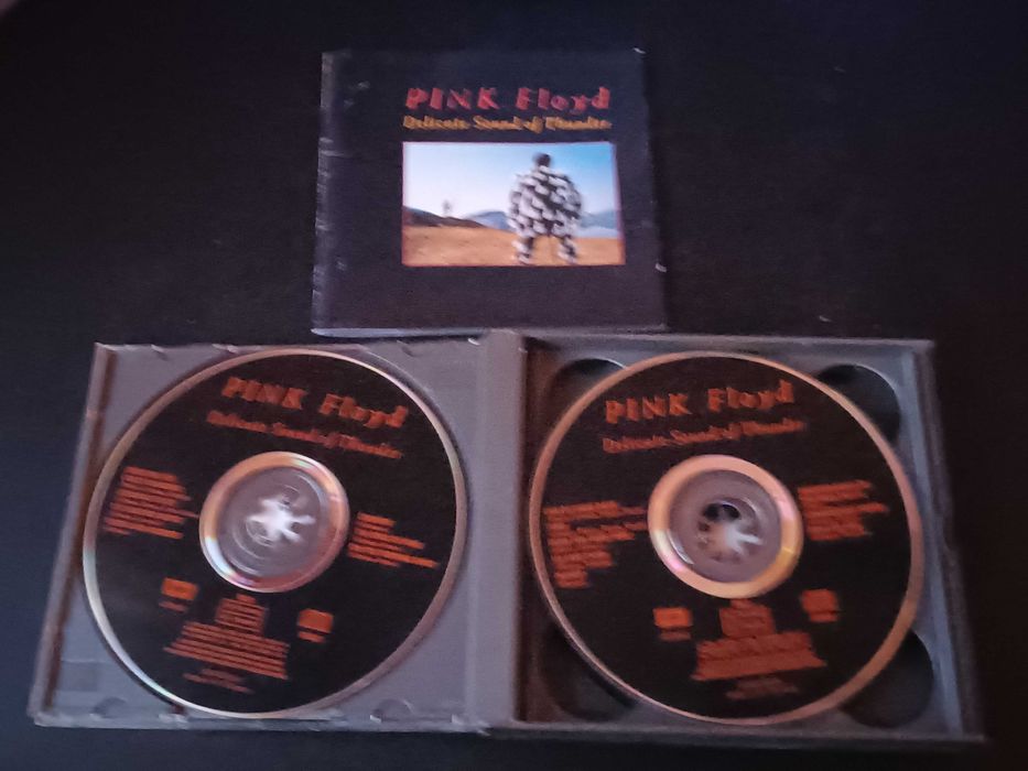 Pink Floyd - Delicate Sound of Thunder - Live (1988)