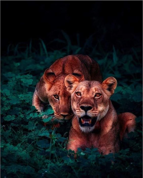 Продається будинок