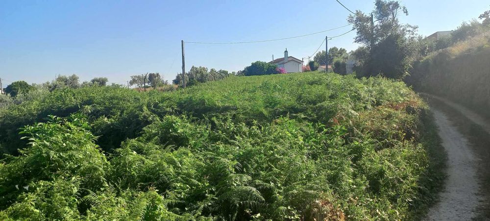 Terreno Cavernães - Viseu