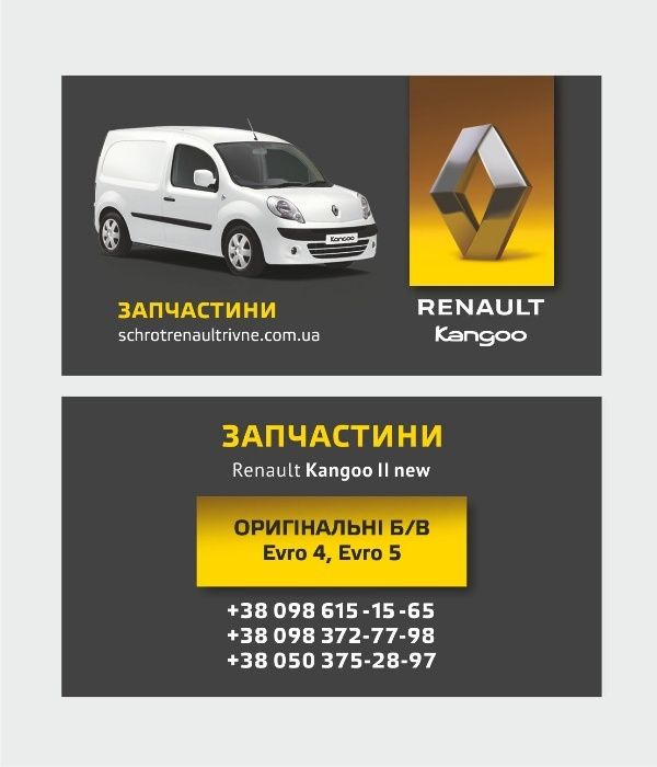 Амортизатор стойка пер./зад. Renault Kangoo Рено Кенго 2 стійка citan