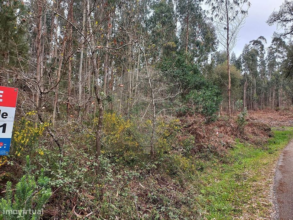 Terreno  para venda