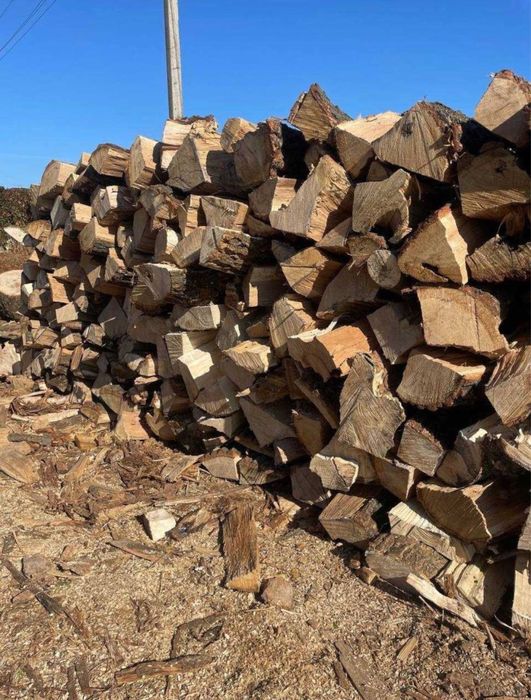 Дрова Акация, лучшая цена|от 3кубов