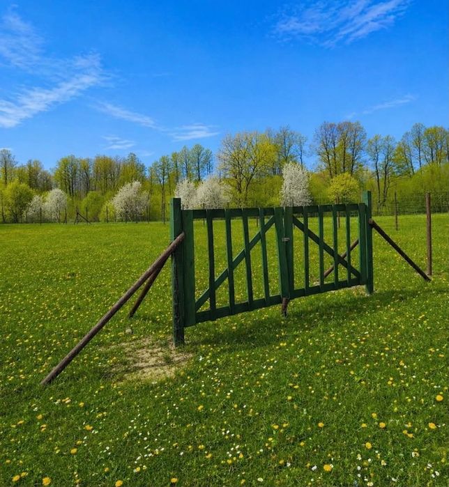 Działka rekreacyjna -Mazury, Las&jezioro