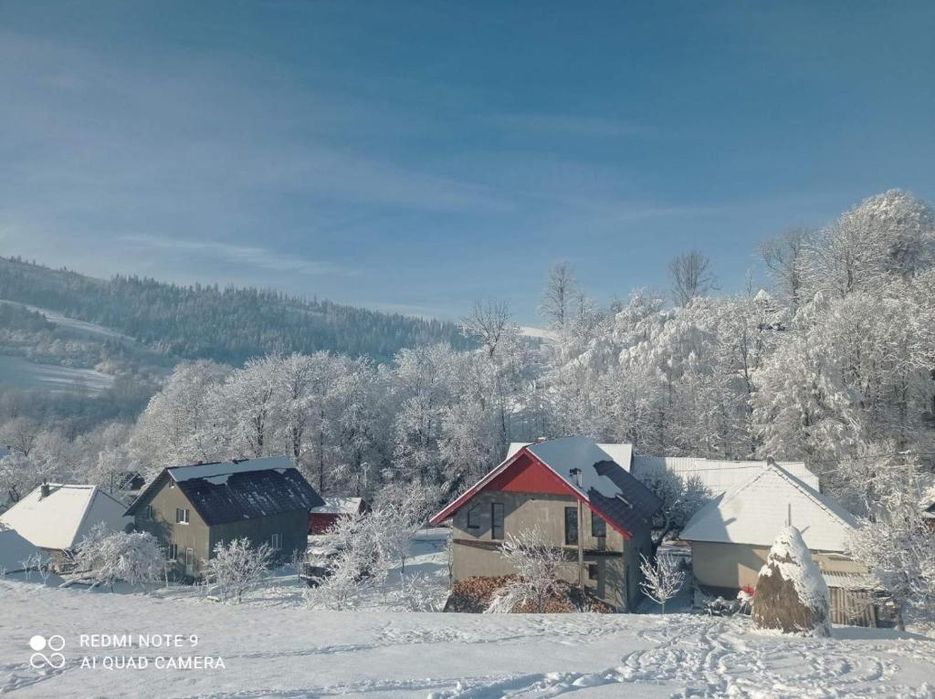 Відпочинок в Карпатах